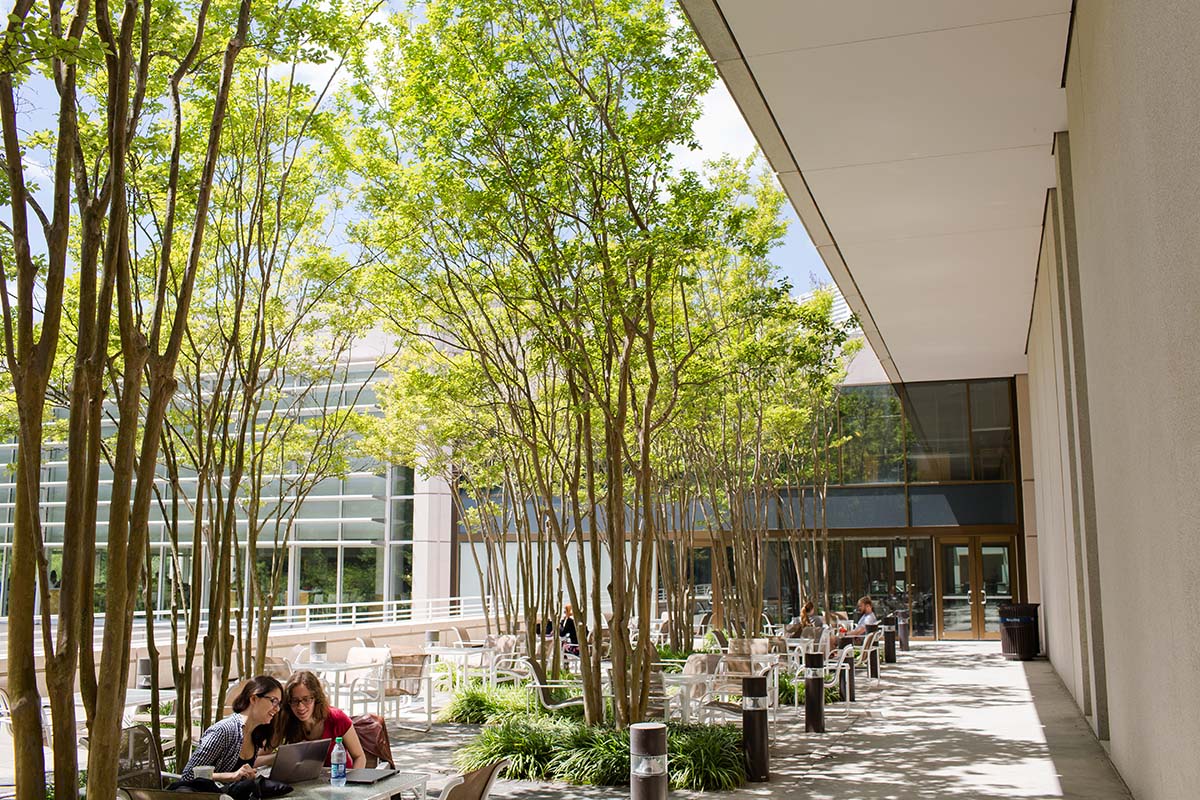 Fox Center patio