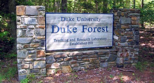 Duke Forest sign